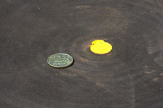 Мишень размером с двухрублевую монету