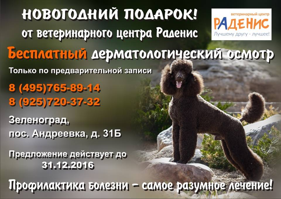 Раденис. Раденис ветклиника Зеленоград. Раденис ветклиника Солнечногорск. Раденис ветклиника Зеленоград Андреевка. Администратор ветклиники Раденис.