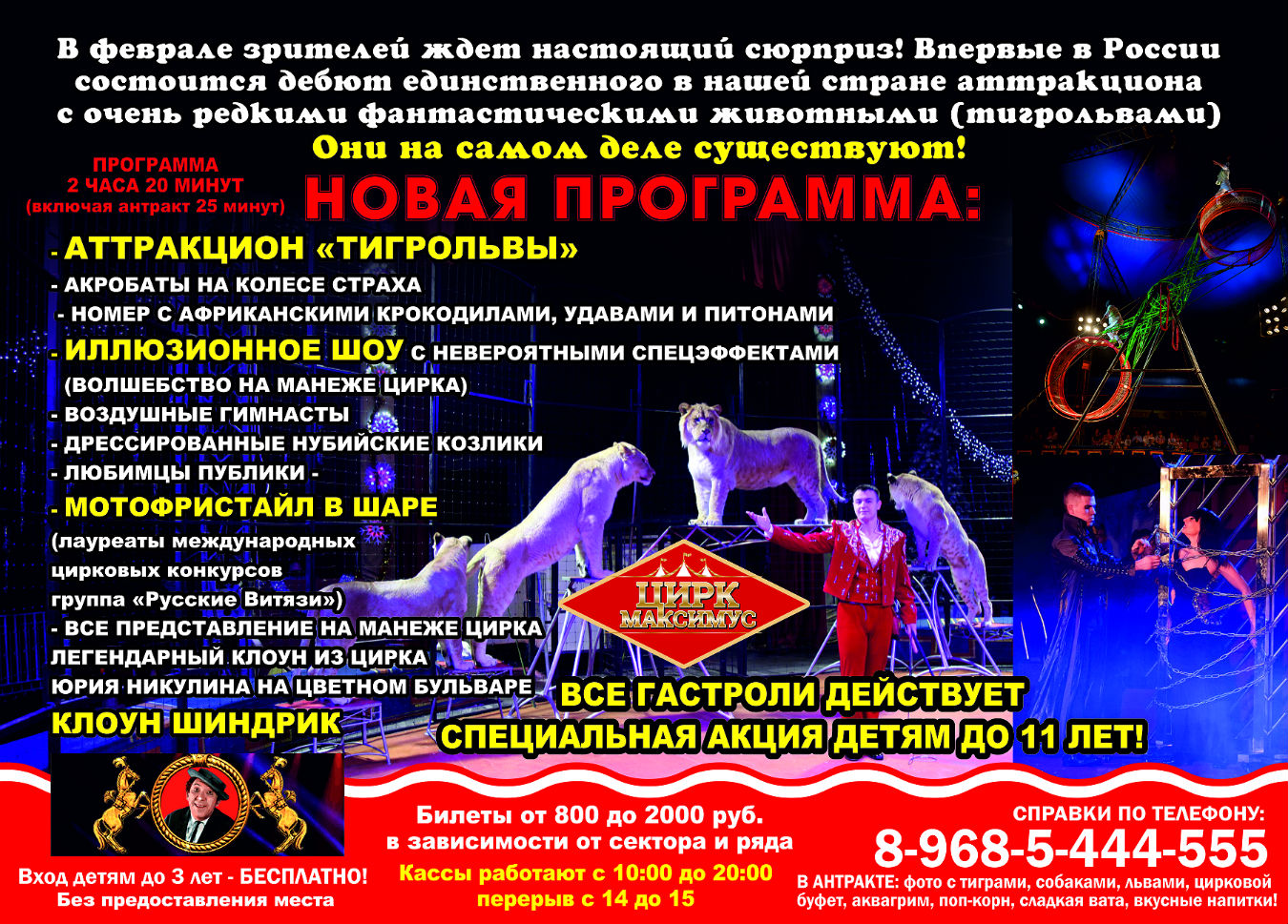 Арена представление в цирке. Программа циркового представления. Названия цирковых программ. Программа цирка. Цирковая афиша.