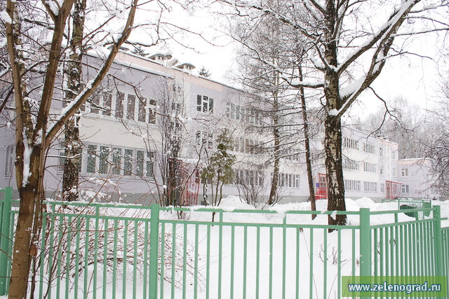 Березовая аллея москва старые