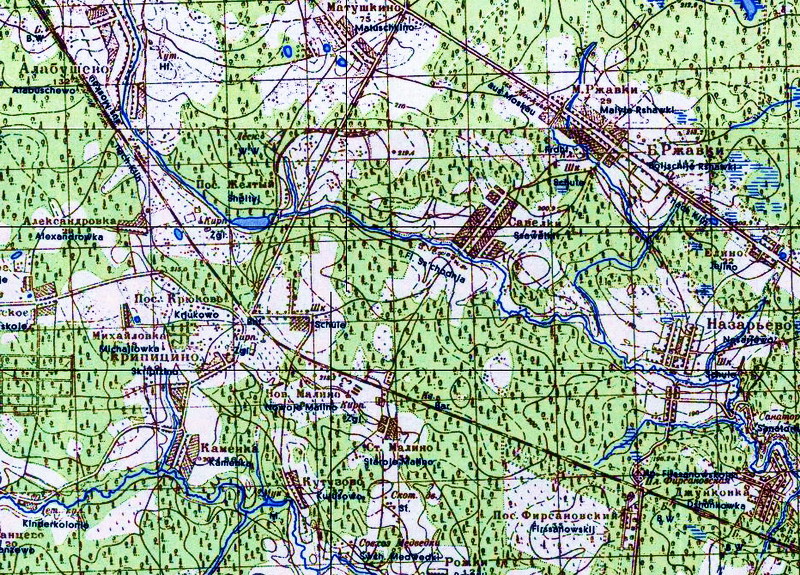 Зеленограда старая карта