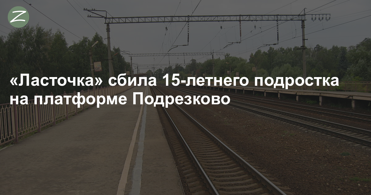 Сбило ласточка. Платформа Подрезково. Расписание электричек Химки Подрезково