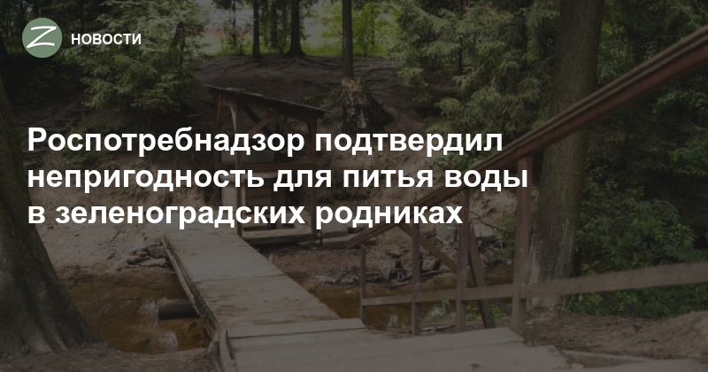 В исследованной воде из ближнего родника. Родник в Зеленограде в 17 микрорайоне. Родник Зеленоград 17 район. Родники в Зеленограде. Ильинский Родник Зеленоград