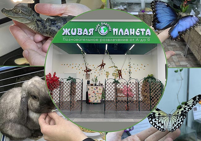 Живая Планета Магазин Тверь Живая Планета Магазин Тверь
