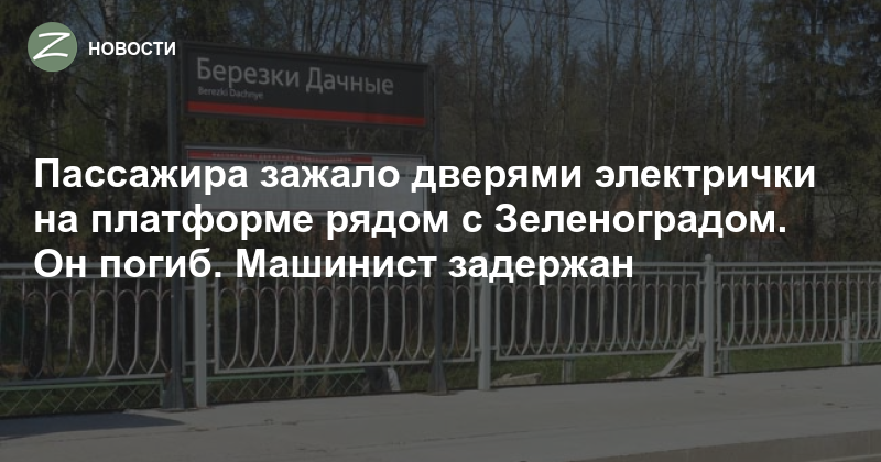 Электричка зеленоград покровка. Берёзки дачные Москва. Электрички Химки Березки дачные. Дубна-Конаково электричка.
