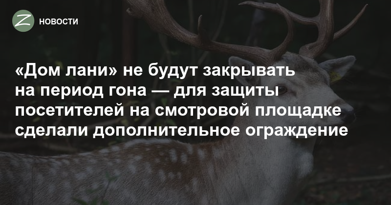 Зеленоград - Новости - «Дом лани» не будут закрывать на период гона — длязащиты посетителей на смотровой площадке сделали дополнительное ограждение