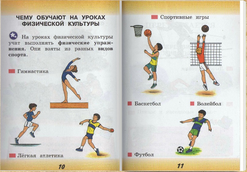 Реферат По Физкультуре Баскетбол