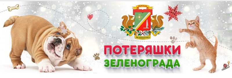 Потеряшки