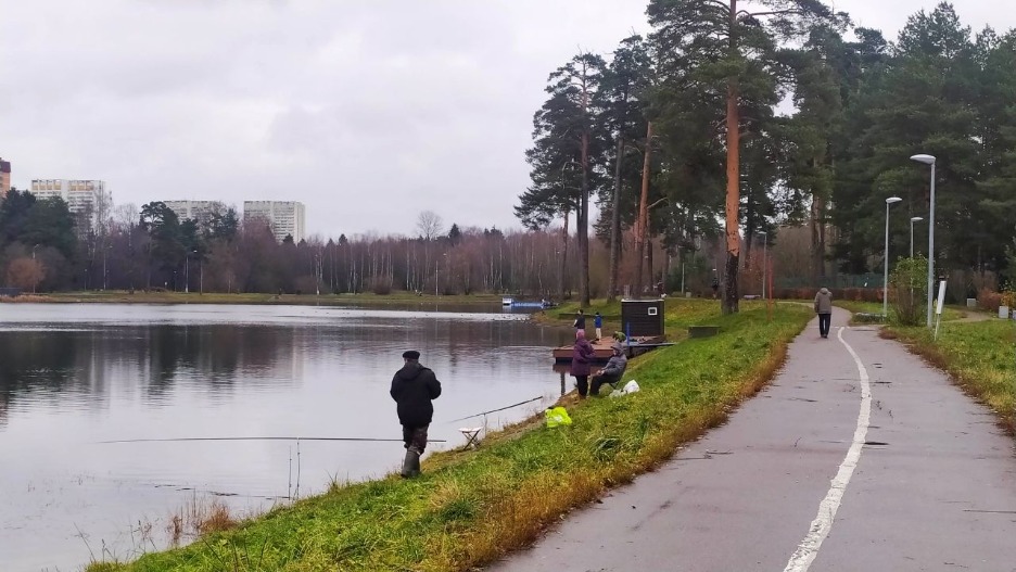 Школьное озеро в зеленограде